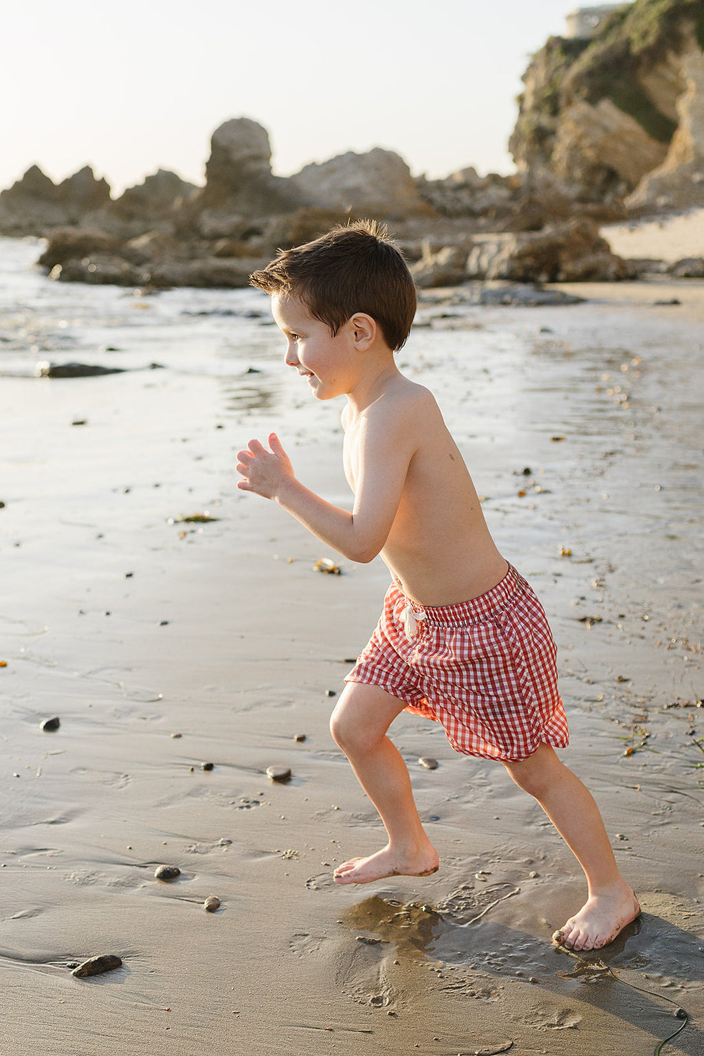 Gingham Swim Shorts
