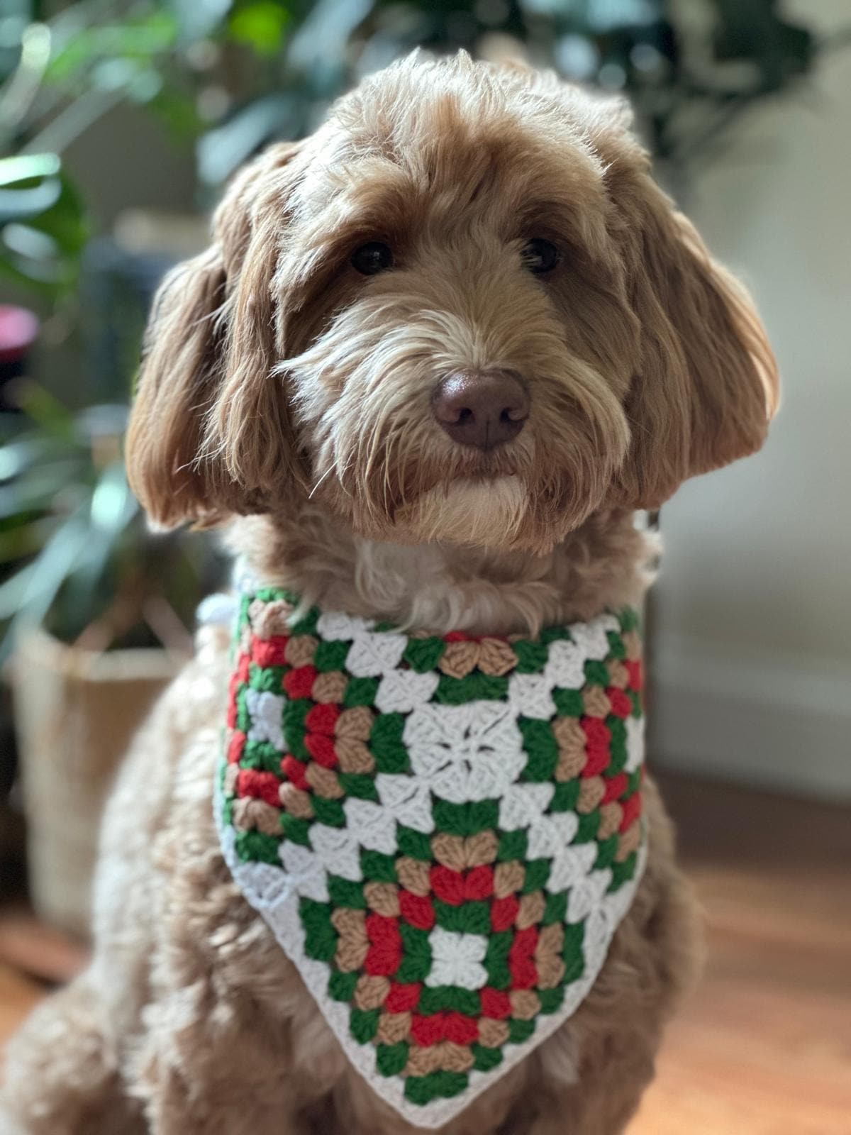 3-in-1 Crochet Granny Square Bandana