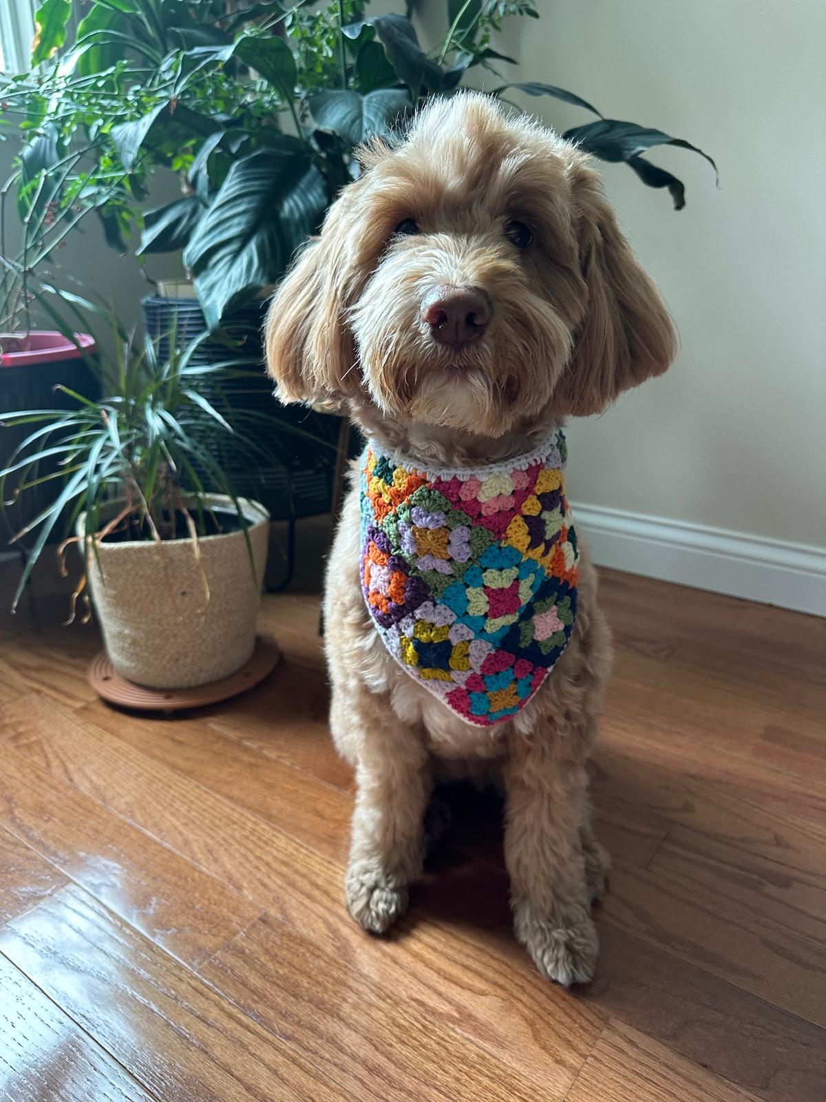 3-in-1 Crochet Granny Square Bandana